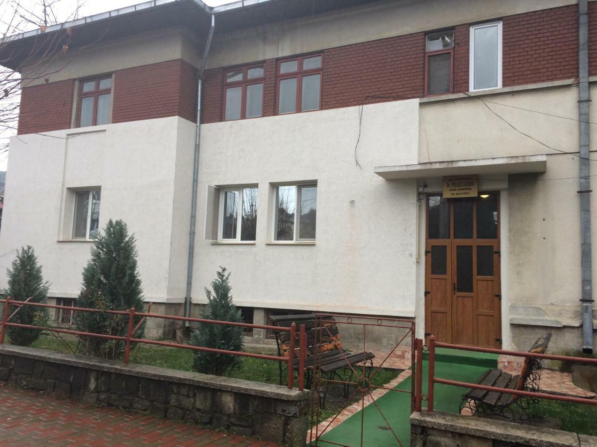 Appartamento Garsoniera Mandrilor Slănic Esterno foto