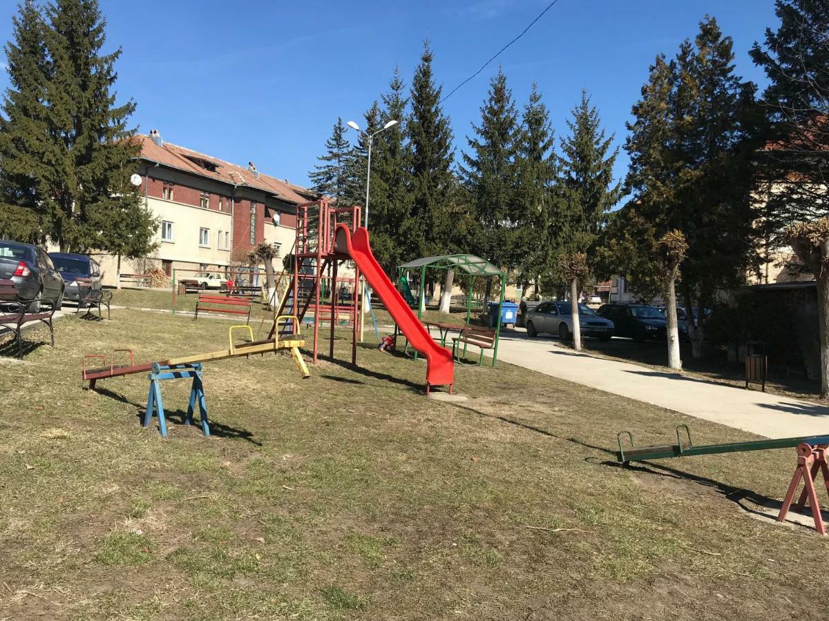 Appartamento Garsoniera Mandrilor Slănic Esterno foto
